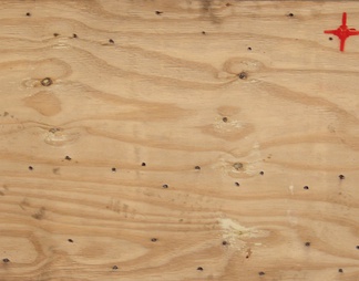 胶合板木材