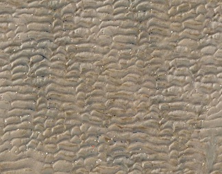 海滩地面 海滩地面贴图下载【ID:201690】