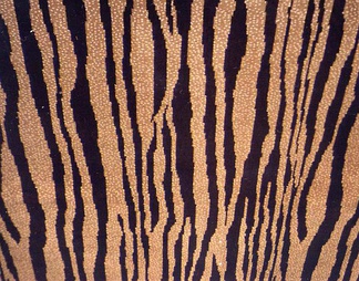 地毯集虎豹虎豹