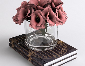 书，花瓶