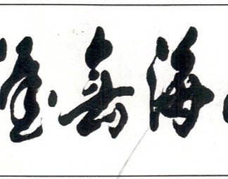 字画龙字壁画