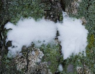 雪地地面