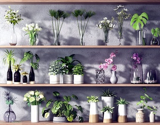 绿植花卉花瓶组合