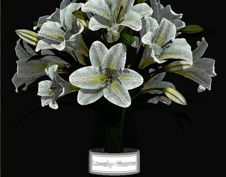 玻璃花瓶百合花卉