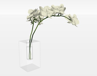 花瓶盆栽