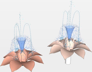 花朵喷泉