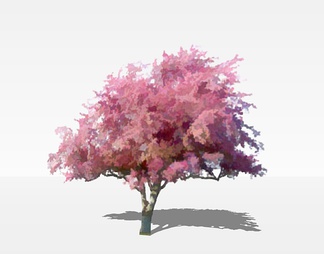樱花树 树木 2D树木