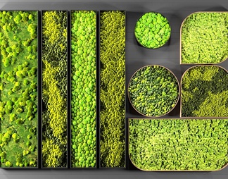 绿植植物墙组合