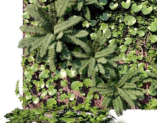 植物墙绿植墙
