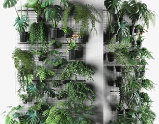 绿植盆栽植物墙组合