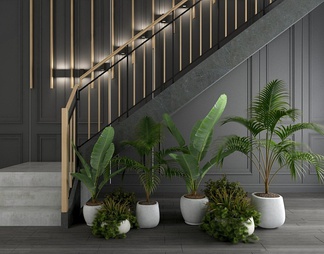 楼梯绿植盆栽