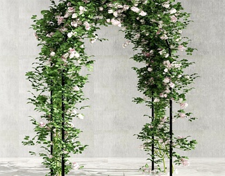 拱形门植物花架