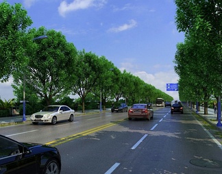 道路景观 公路 马路 柏油路 街道 车道 道路绿化 落叶 行道树