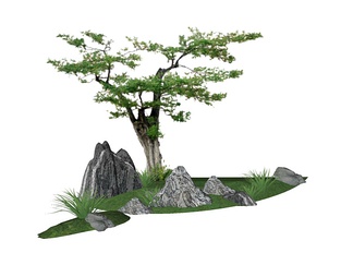 造型树  景石