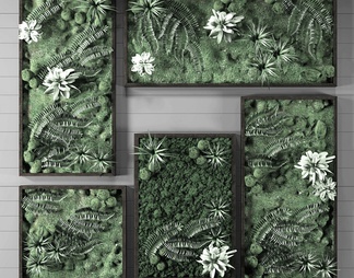 植物墙绿植装饰组合