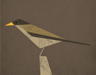 鸟贴图下载【id:637557】