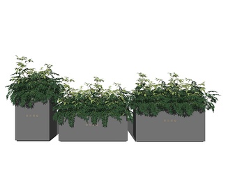 植物盆栽 植物盆栽SU模型下载【ID:639748】
