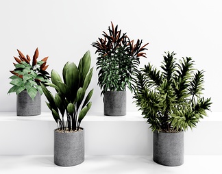 植物盆栽 观赏盆景 植物盆栽 观赏盆景SU模型下载【ID:668961】