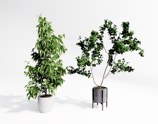 植物盆栽 植物盆景 植物盆栽 植物盆景SU模型下载【ID:668965】