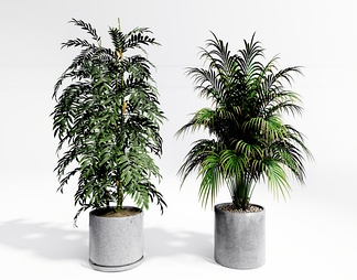 植物盆栽 绿竹植物 植物盆栽 绿竹植物SU模型下载【ID:674769】