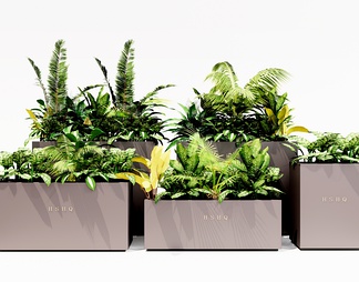植物盆栽 绿植花箱 植物盆栽 绿植花箱SU模型下载【ID:674766】
