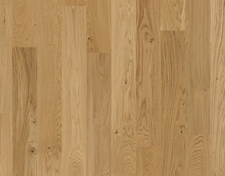 木板 木地板 木地面 木材 木材质 木
