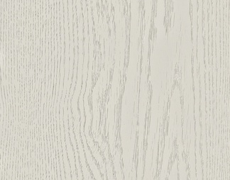 白橡木  高清  木纹