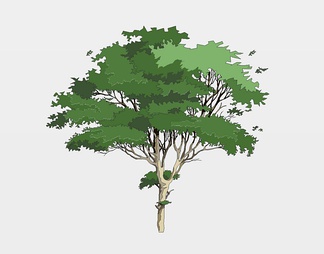 树 树SU模型下载【ID:725590】