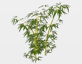 竹子 竹子SU模型下载【ID:725595】