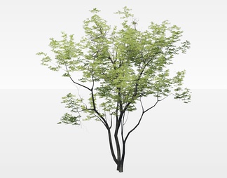 树 树SU模型下载【ID:725596】