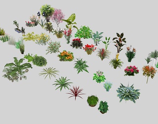 2D景观植物花草灌木