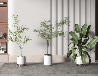 落地绿植盆栽组合 落地绿植盆栽组合SU模型下载【ID:728901】