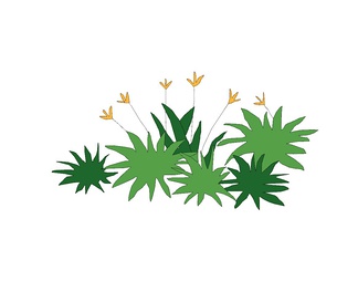 花草 花草SU模型下载【ID:740460】