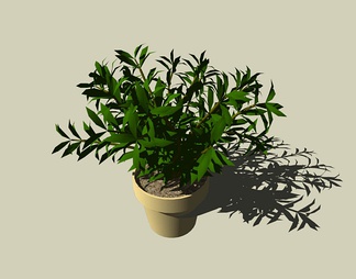 盆栽 盆栽SU模型下载【ID:740403】