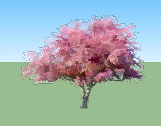樱花树 2D树