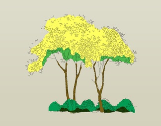 组合树 2D树  