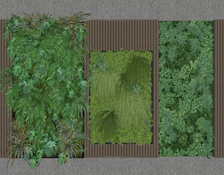 绿植墙 景观植物墙