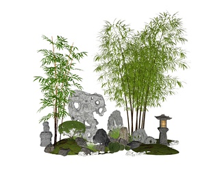 庭院园林景观 竹子