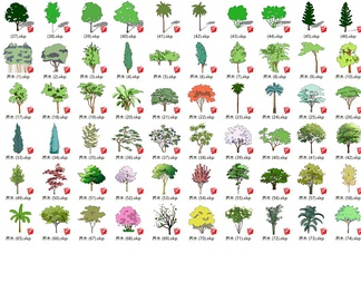 2D手绘树 乔木 树 景观树