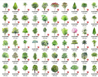 2D手绘植物 2D树 2D乔木