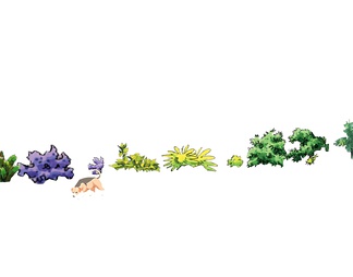 2D树 手绘植物 2D植物