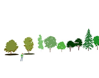 2D树 手绘树 2D植物