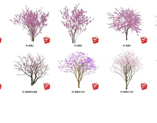 紫晶花树