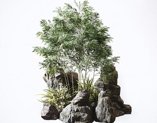 石头竹子植物组合