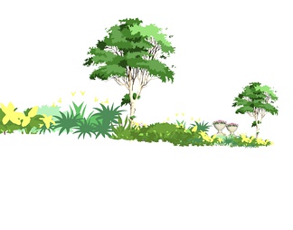 2D手绘植物 景观树