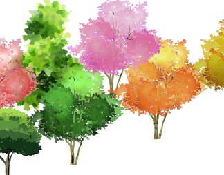 2D手绘植物 有色景观树