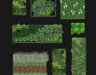 绿植墙植物盆栽