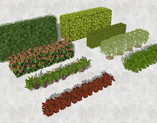 植物灌木绿篱组合