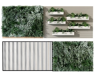 现在植物墙，绿植墙，花槽