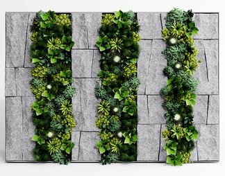 绿植墙 景观植物